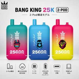 Bang King 25K 2-Pod 25000回吸引 650mAh Type-C 3カラー商品画像