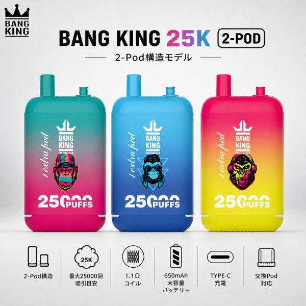 Bang King 25K 2-Pod 25000回吸引 650mAh Type-C 3カラー商品画像