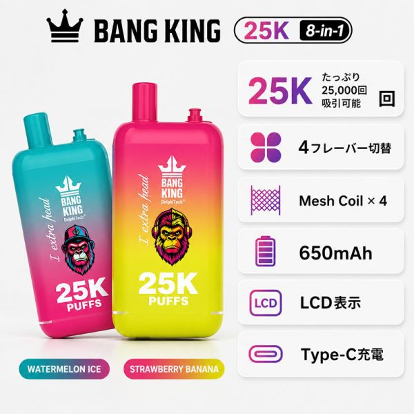 Bang King 25K 2-Pod 25000回吸引 650mAhバッテリー Type-C充電 デュアルタンク構造