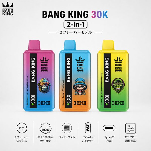Bang King 30K 30000 Puffs 2-in-1 デュアルフレーバー 3カラー商品画像