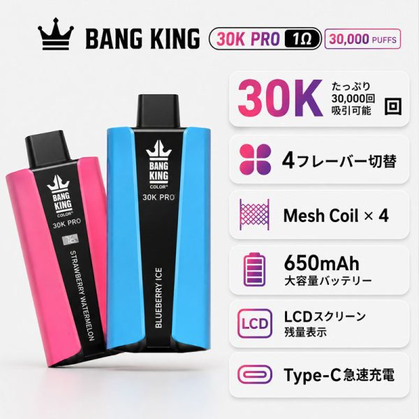 Bang King 30K Pro 30000回吸引 850mAh Type-C充電 エアフロー調整 1Ωコイル