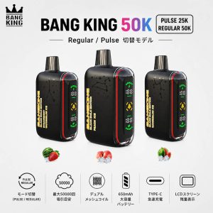 Bangking Pluse 25K〜50Kの特徴｜Dual Mesh・650mAh・LCD表示・USB Type-C充電対応